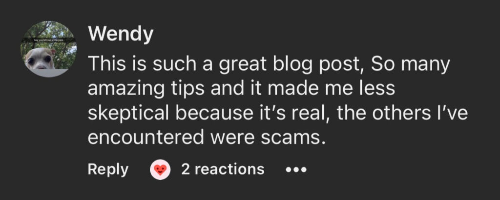 12-finsavvy panda testimonial