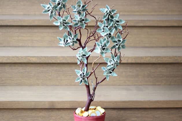 Money Tree Gift Idea - Inspiration Made Simple