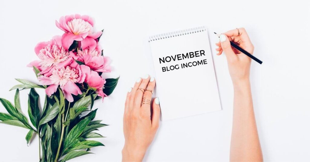 november blog income