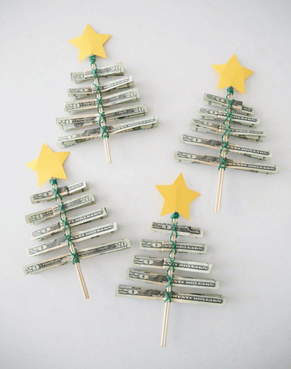 16 Best Money Tree Gifts (Plant, Holder, and Stands For Birthdays