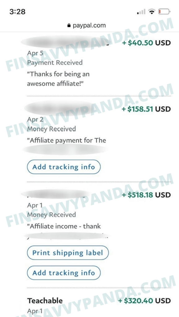 finsavvy panda affiliate income