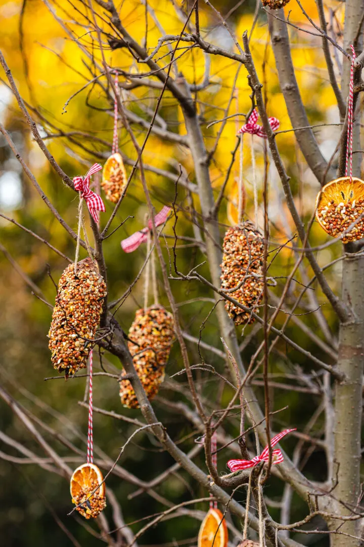 Pinecone-Bird-Feeders