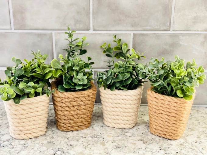 mini-succullent-planters-to-sell