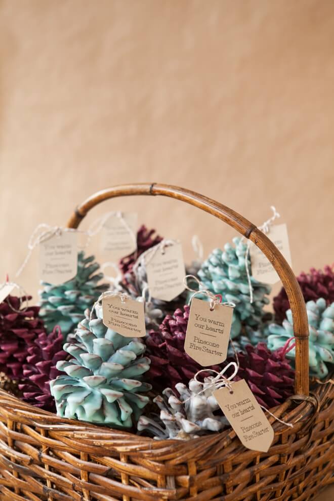 pine-cone-fire-starter-crafts