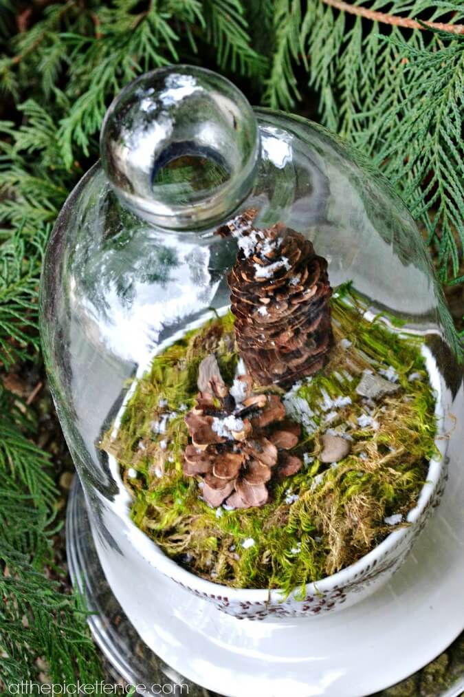 pinecone-terrarium-crafts-to-sell