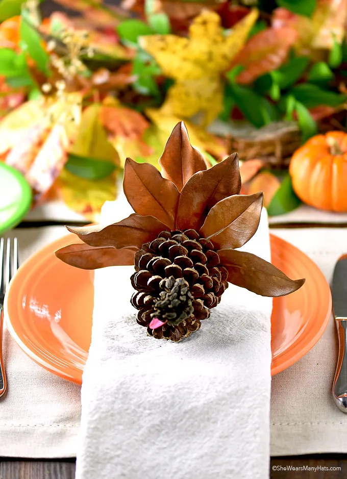 thanksgiving-pinecone-turkey-craft
