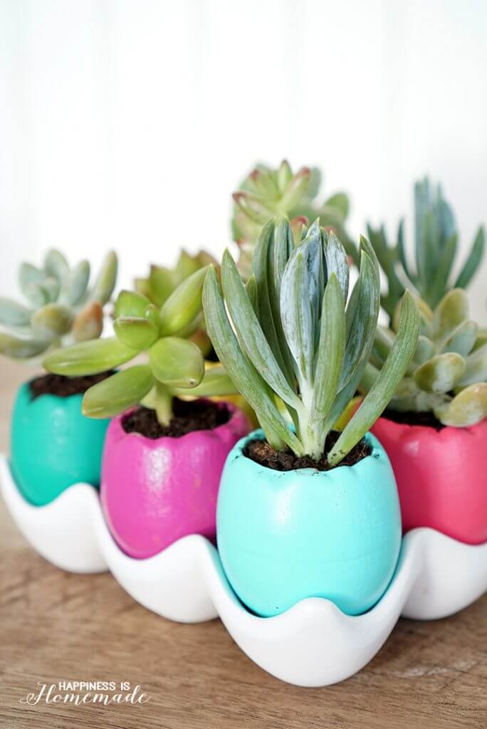 Egg-Shell-Succulent-Planters